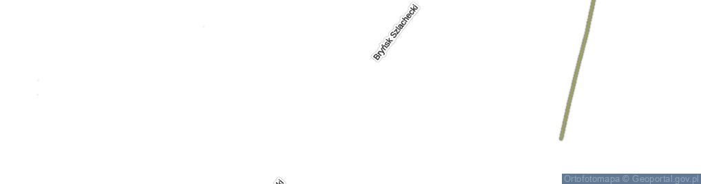 Zdjęcie satelitarne Bryńsk Szlachecki ul.